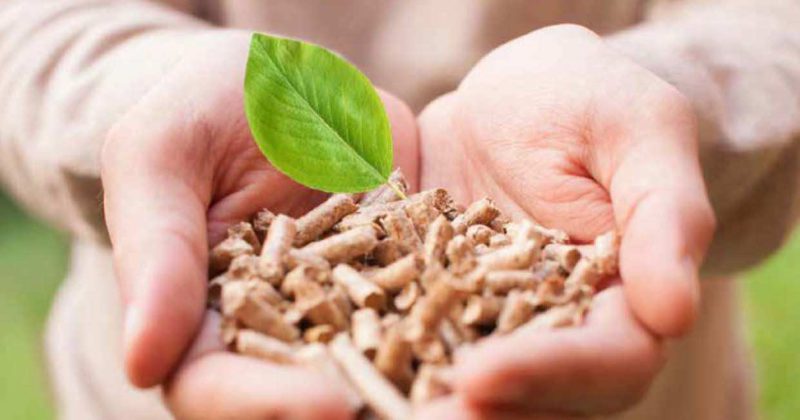 Manual for environmentalists on the use of biomass as a fuel in the municipal sector