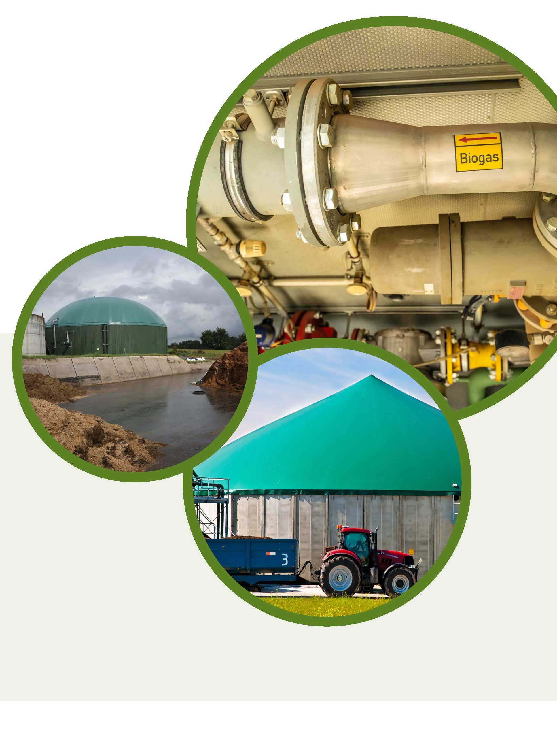 The number and total capacity of biogas plants in Europe continued to