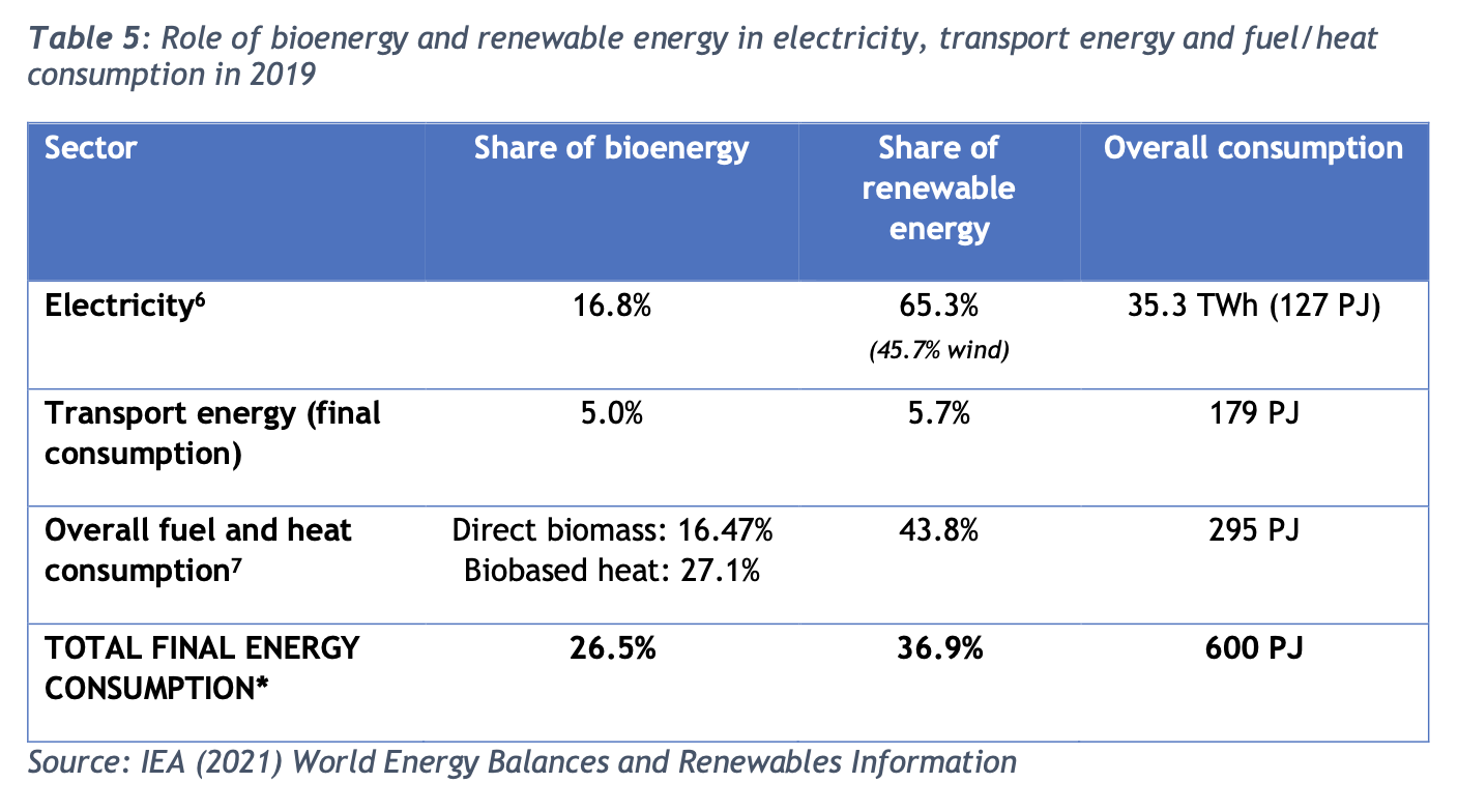 Role of bioenergy and renewable energy in electricity, transport energy and fuel/heat consumption in 2019