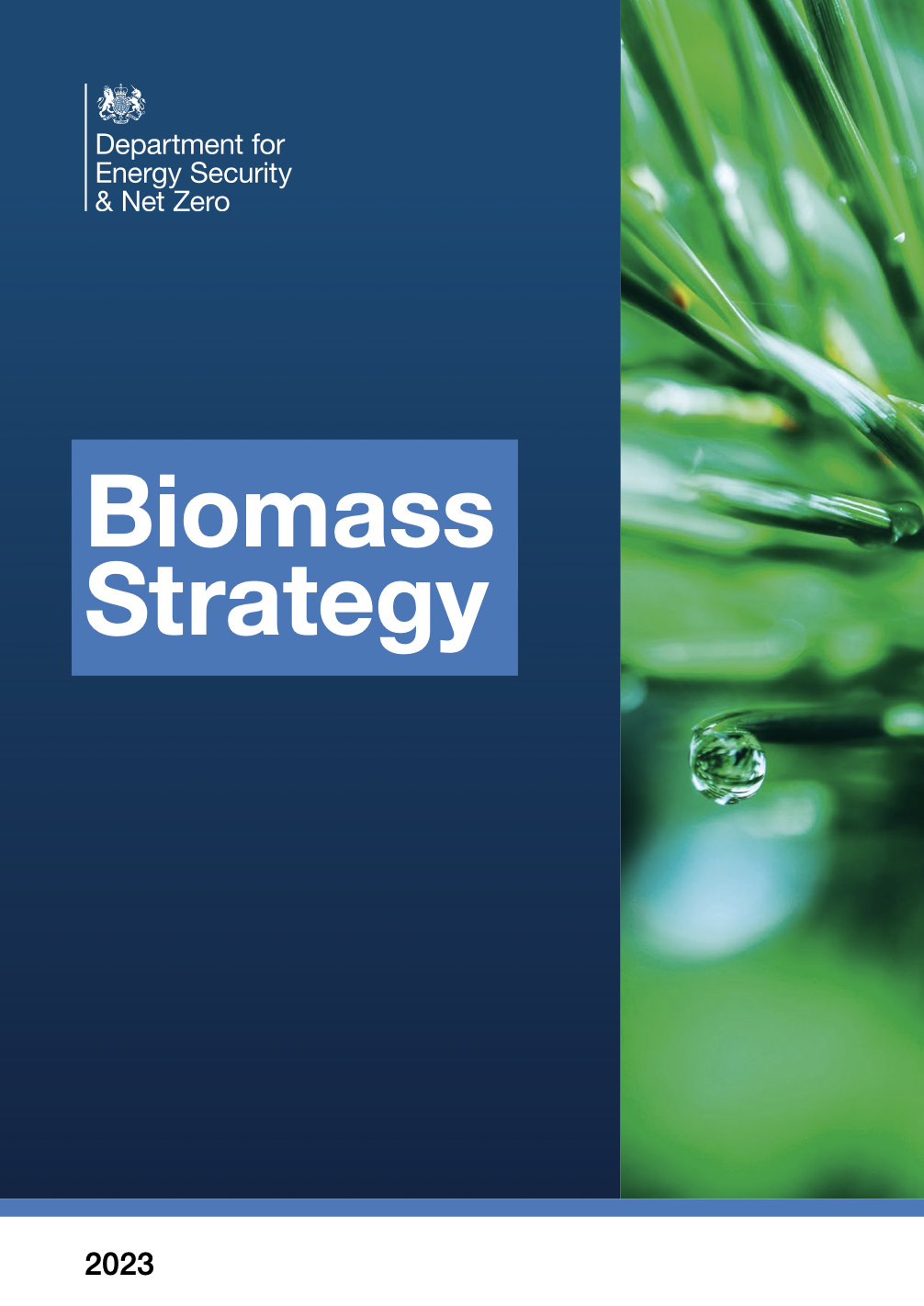 Стратегія Великобританії щодо використання біомаси до 2050 року