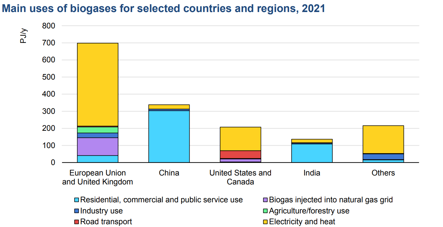 Основні напрями використання біогазу у деяких країнах і регіонах світу у 2021