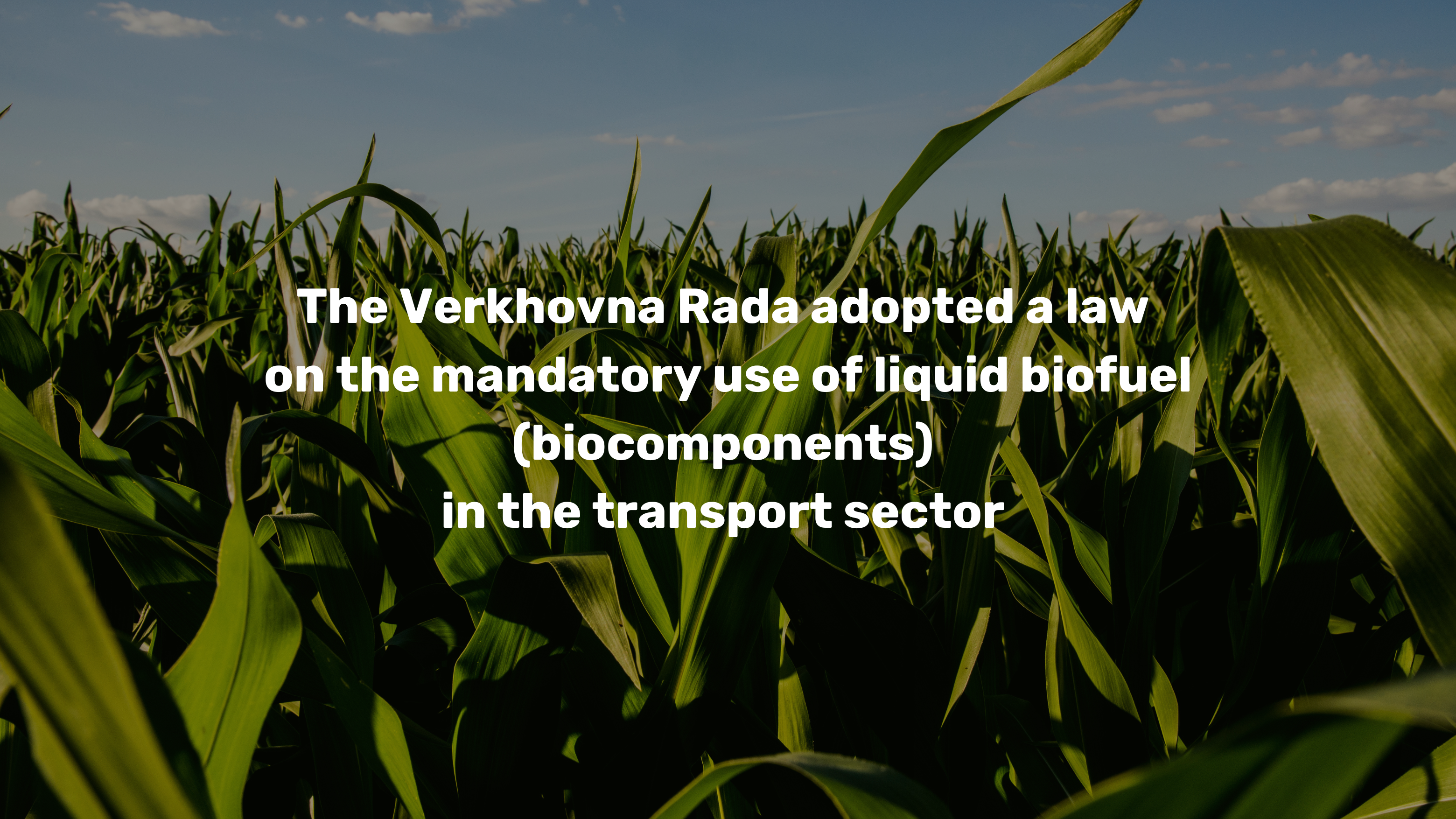 Law mandating the use of liquid biofuels in the transport