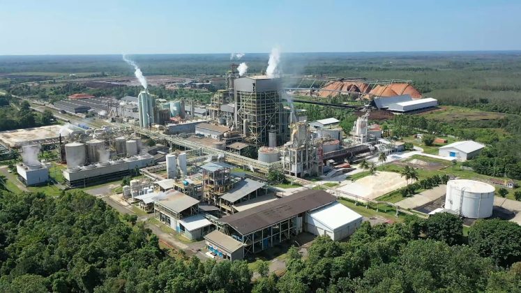The Tanjungenim Lestari Pulp & Paper mill