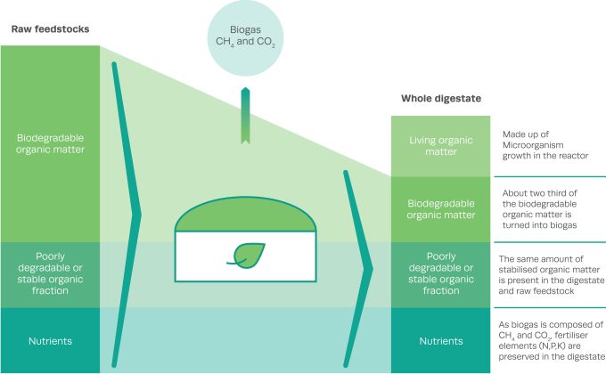 The anaerobic digestion process. 