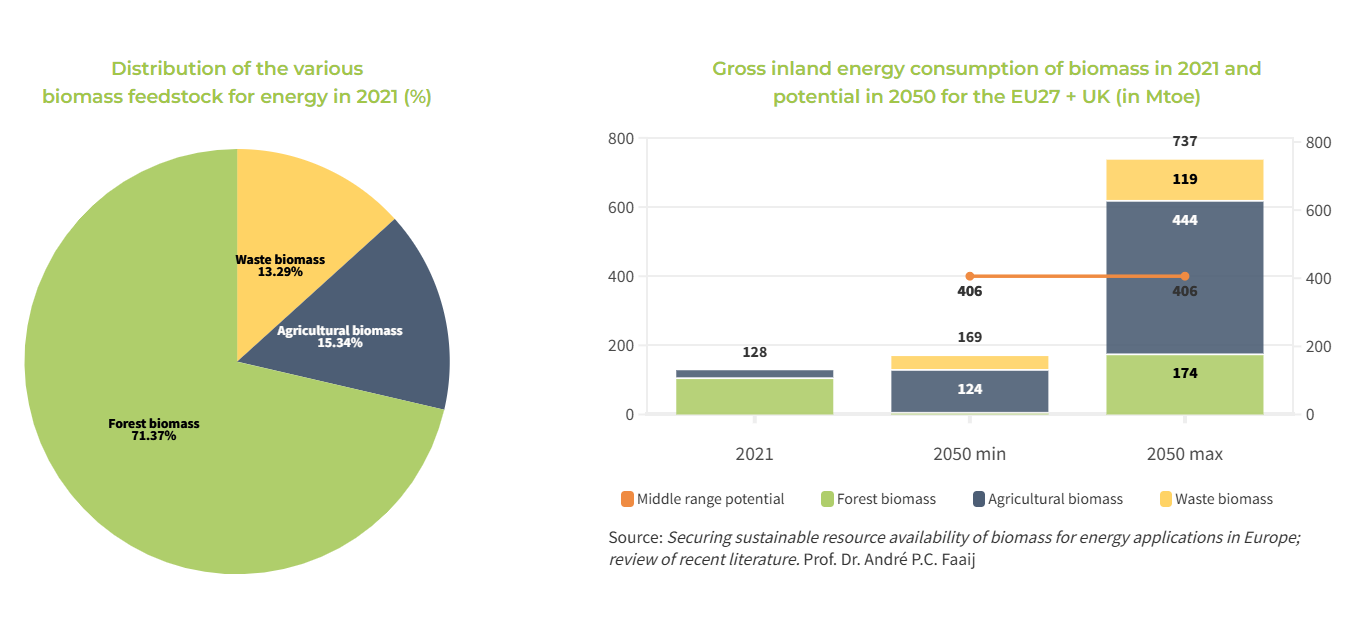 The most biomass used for bioenergy in Europe comes from wood and forests