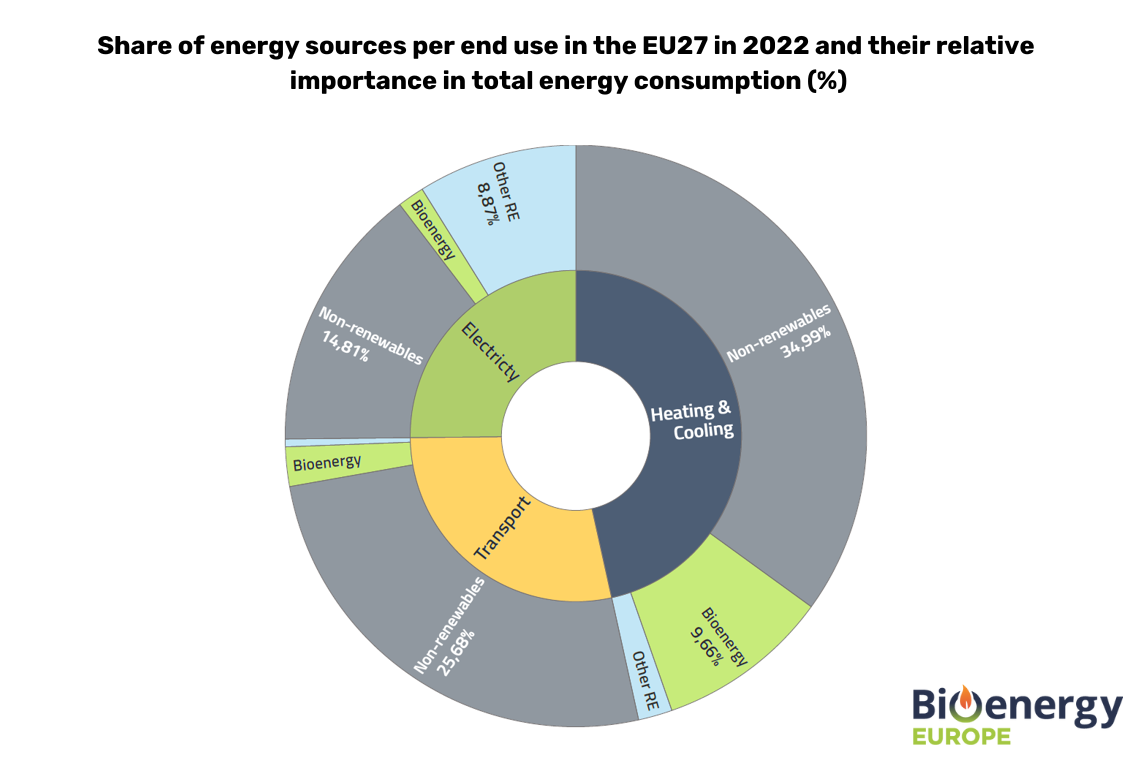 Частка джерел енергії на кінцеве споживання в ЄС-27 у 2022 році та їх відносна важливість