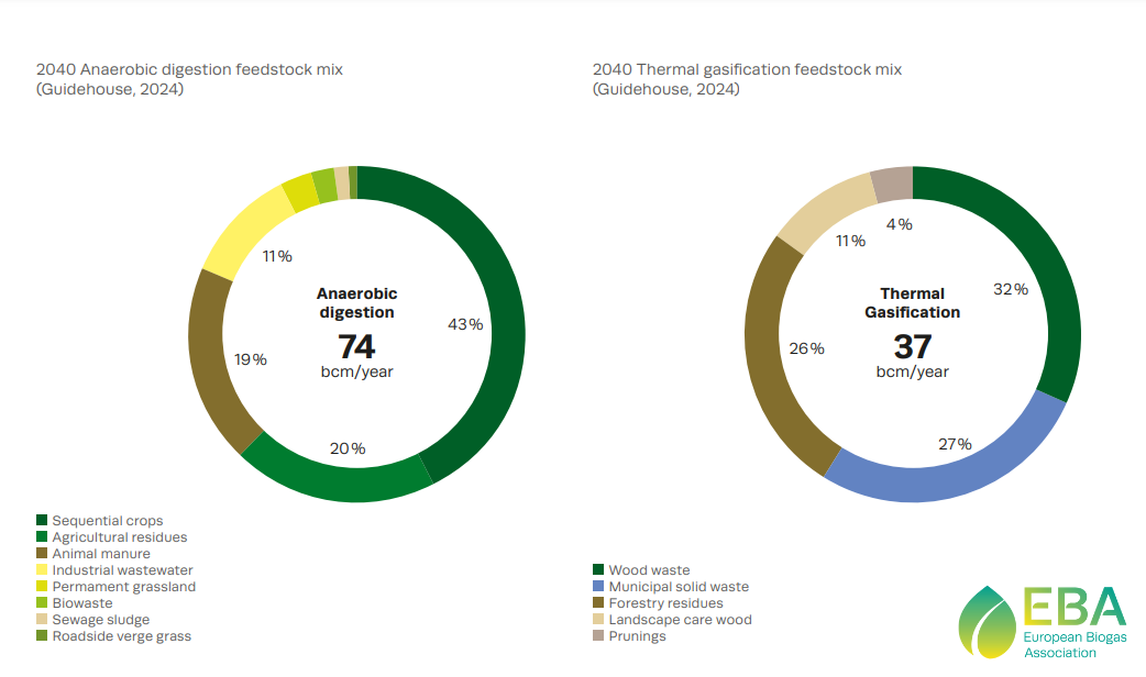 Сировина та потужність виробництва для анаеробного зброджування та газифікації