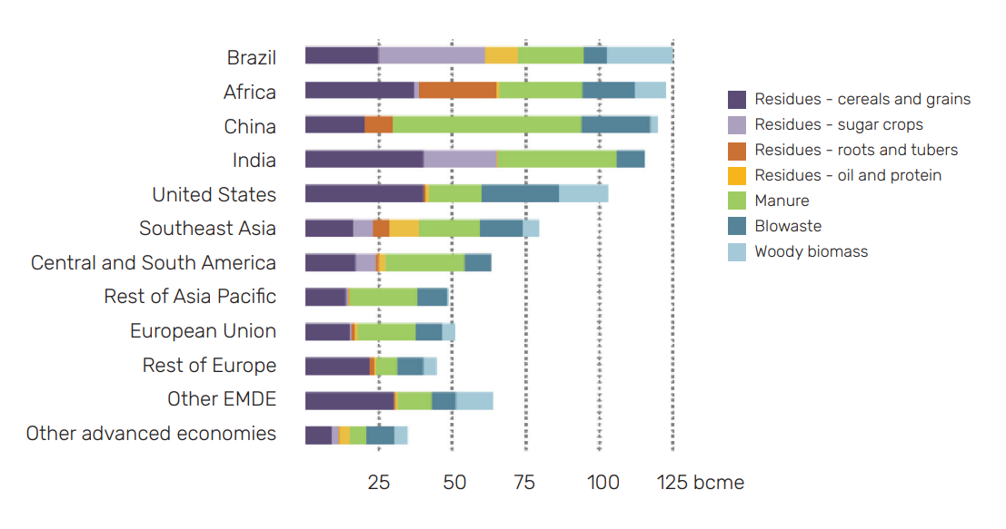 Potential for biogases by region and by feedstock type, 2024 (EMDE = emerging market and developing economies).