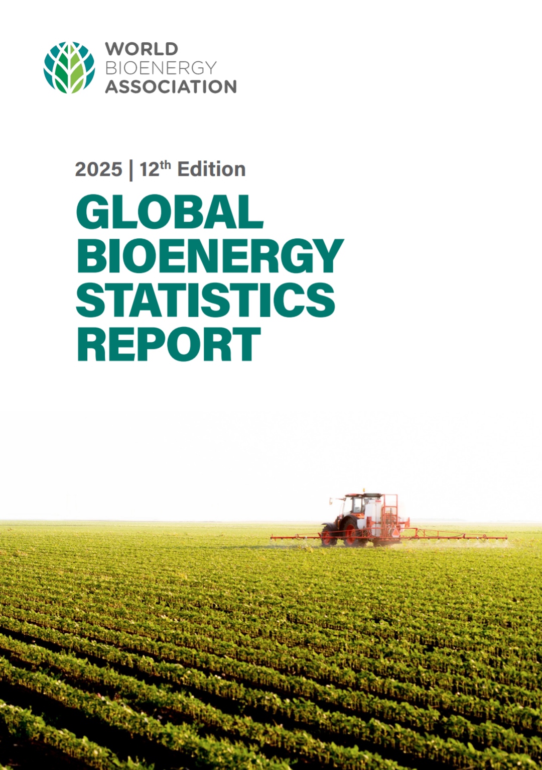 "Глобальна статистика біоенергетики. 12-те видання. 2025 р"