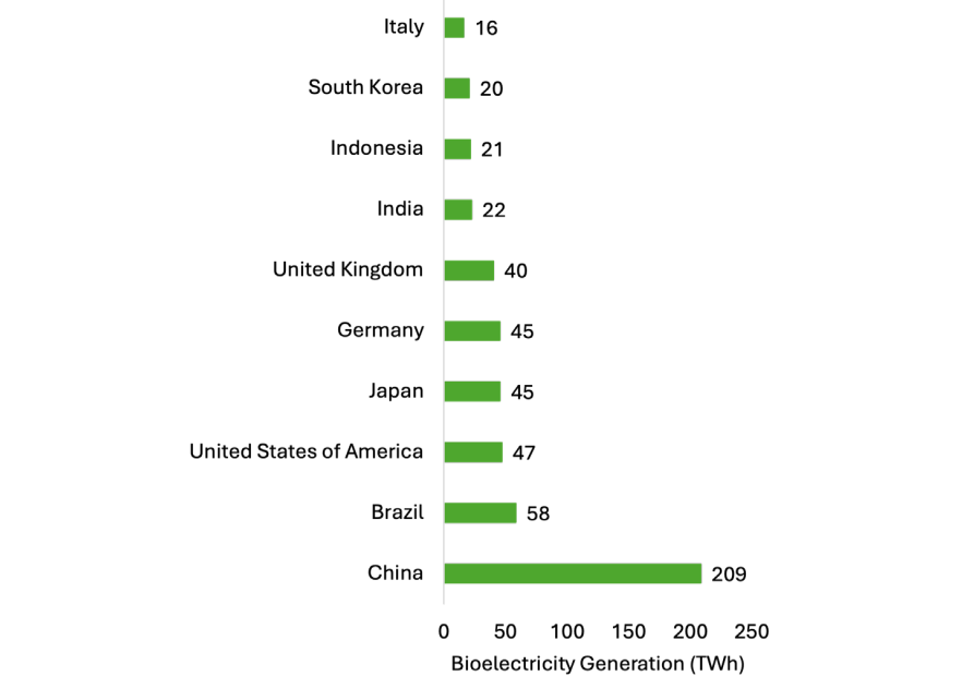 Top 10 Countries with the Largest Bioelectricity Generation in 2024